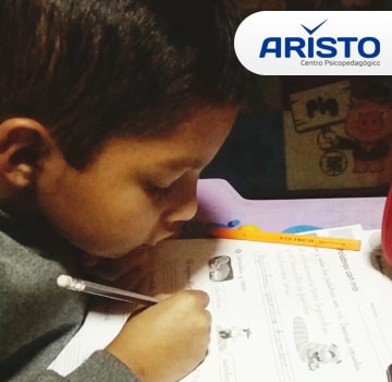 Centro Psicopedagógico Arequipa