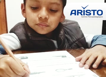 Terapia de Comportamiento