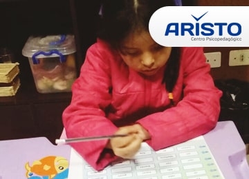 Terapia de Comportamiento