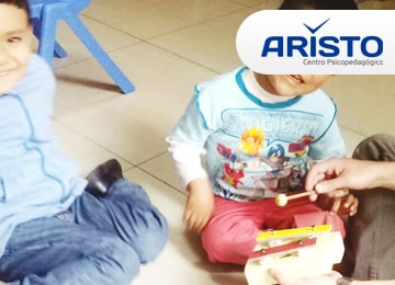 Terapia de Comportamiento